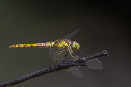 _AS_0836-Edit.jpg