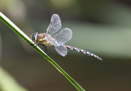 AH5A0129a.jpg