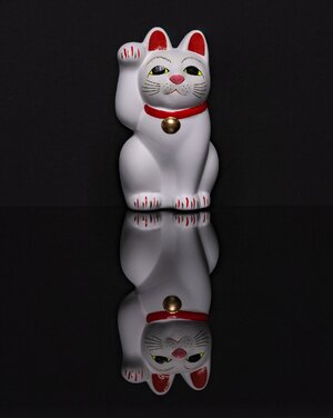 0M0A0956-Edit.jpg