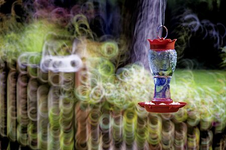 Feeder BBokeh.jpg