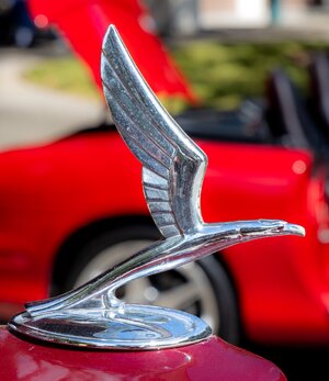 2022-049-030 Kingwood fall car show.jpg