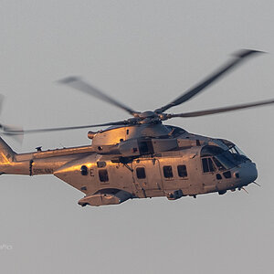 Royal Navy Merlin catching the late sunshine