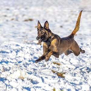 Ali and and snow .jpg