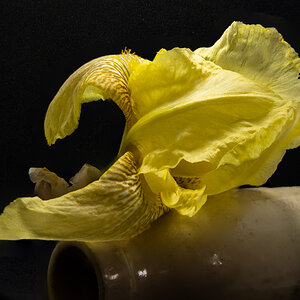 Yellow Iris and Clay Bottle