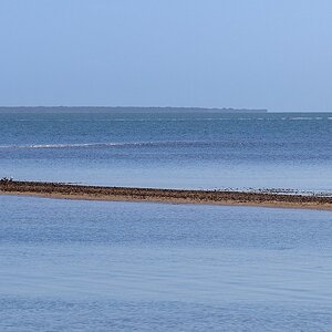 shorncliffe-sandbar.jpg