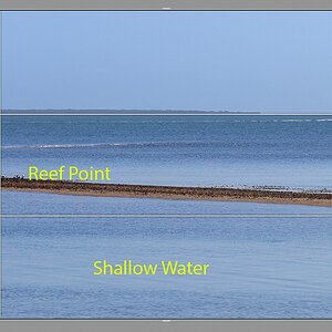 shorncliffe-reef-point-thirds.jpg