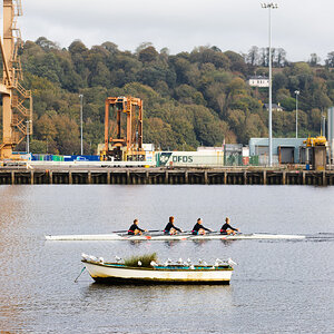 Rowers in the Port of Cork_20231007.jpg