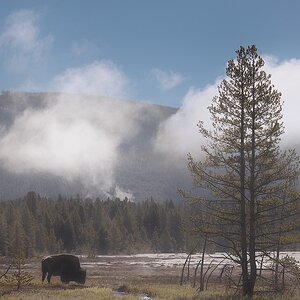 2024_05_10_Yellowstone-10103-Edit1080.jpg