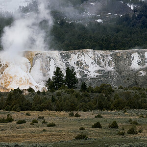 2024_04_28_Yellowstone-10114-Edit1080.jpg