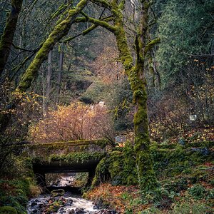 Wahkeena Fall Dressed in Autumn Colors.jpg