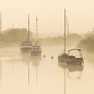 Misty Wareham.jpg