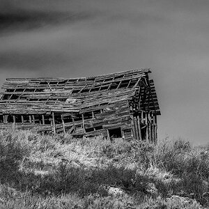 2024_05_04_Yellowstone-10376-Edit1080.jpg