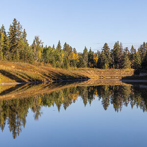 Fall Reflection.jpg