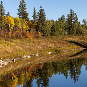 Fall Reflection 1.jpg