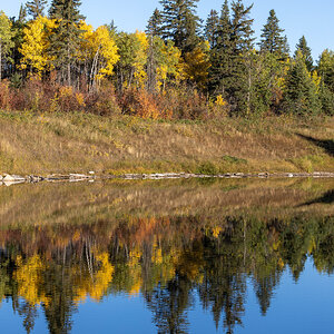 Fall Reflection 2.jpg