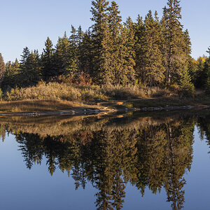 Fall Reflection 4.jpg