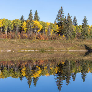 Fall Reflection 5.jpg