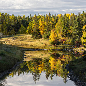 Fall Reflection 6.jpg