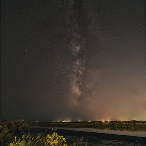 Tavira cactus seq new stack PSE final fr.jpg