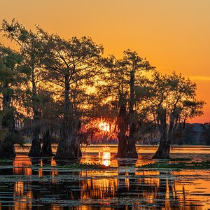 2024-067-103 Caddo Lake trip.jpg