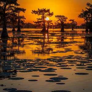 2024-067-159 Caddo Lake trip.jpg