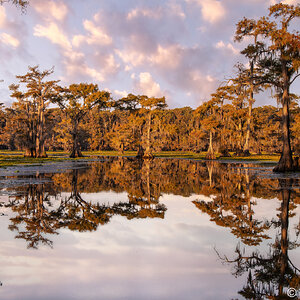 2024-067-245 Caddo Lake trip-Edit (1).jpg