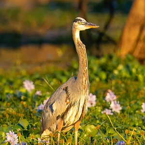 2024-067-666 Caddo Lake trip-2-Edit.jpg