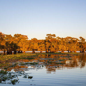 2024-067-689 Caddo Lake trip.jpg