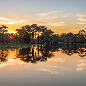 2024-067-729 Caddo Lake trip.jpg