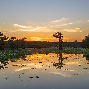 2024-067-750 Caddo Lake trip.jpg