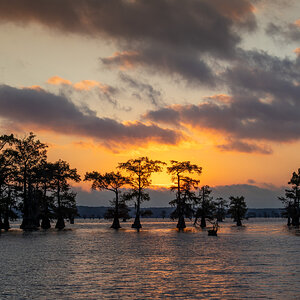 2024-067-897 Caddo Lake trip.jpg