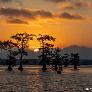 2024-067-915 Caddo Lake trip.jpg