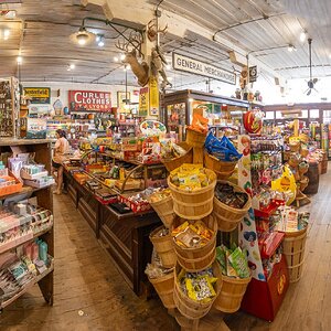 2024-067-1133 Caddo Lake trip-Pano.jpg