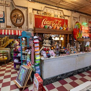 2024-067-1143 Caddo Lake trip.jpg