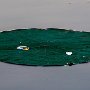 2024-067-124 Caddo Lake trip.jpg