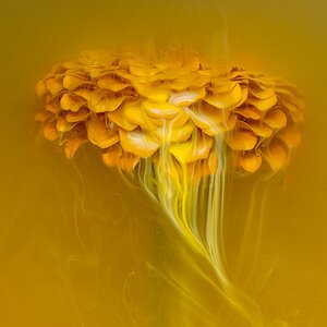 2024_09_02_CallaAndZinnia_immersed-10264-Edit1080.jpg