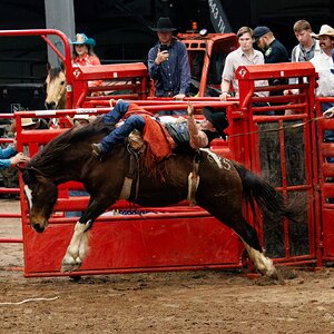 2035-011 029 Humble Rodeo-2.jpg