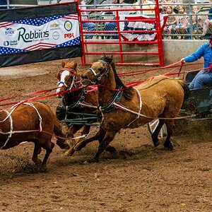 2035-011 105 Humble Rodeo-2.jpg