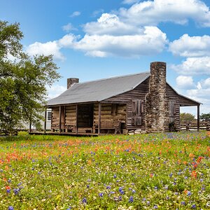 2024-023-014 TWPC wildflower trip.jpg