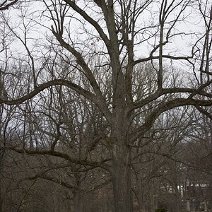 031A7515 9.20.40 AM.jpeg