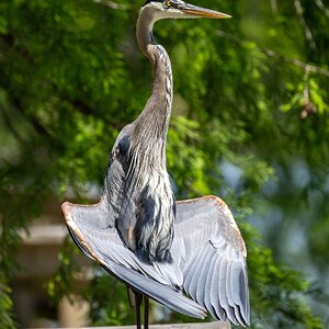 2025-0005-282 River Grove Park.jpg