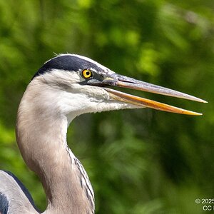 2025-0005-311 River Grove Park.jpg