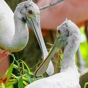 2025-023 019 Smith Oaks Refuge 2-2.jpg