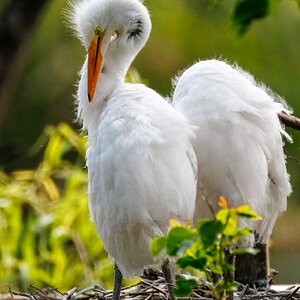 2025-023 032 Smith Oaks Refuge 2-2.jpg