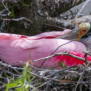 2025-023 085 Smith Oaks Refuge 2.jpg