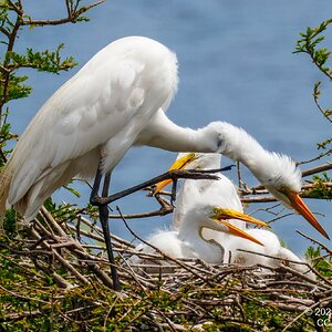2025-023 092 Smith Oaks Refuge 2-2.jpg
