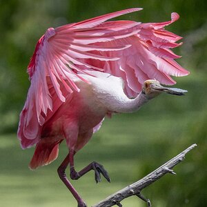 2025-023 101 Smith Oaks Refuge 2.jpg