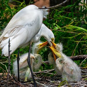 2025-023 121 Smith Oaks Refuge 2-2.jpg