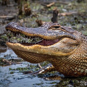 2025-023 153 Smith Oaks Refuge 2.jpg