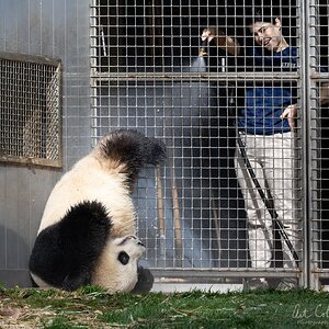 April ShowersSMALL.jpg